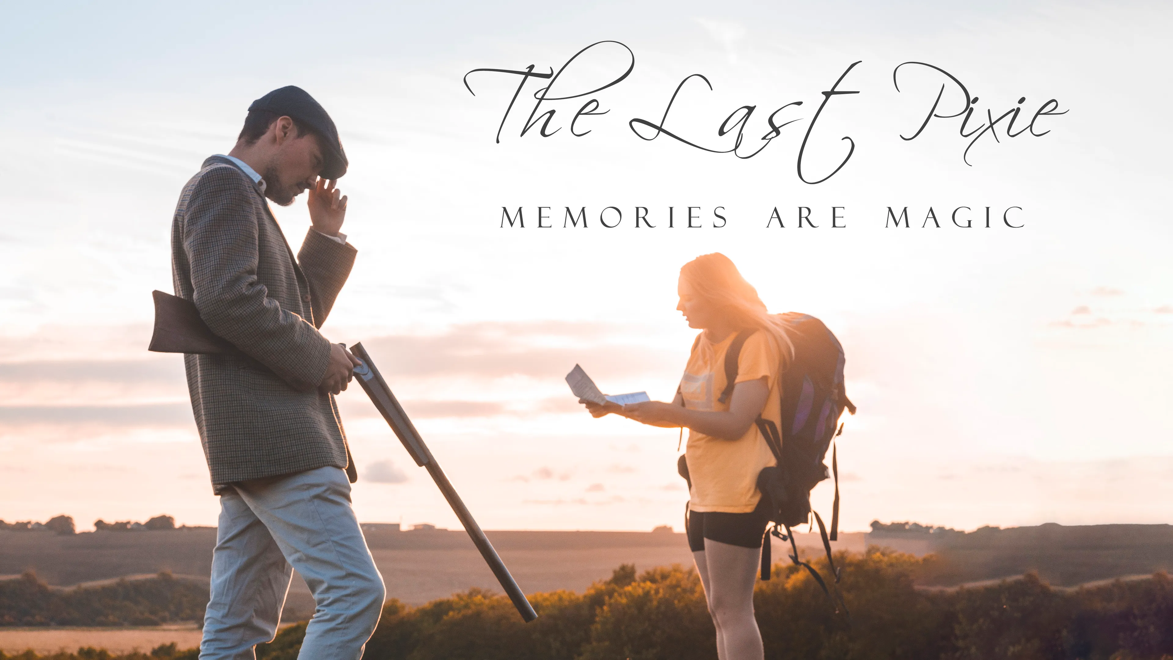The Last Pixie poster